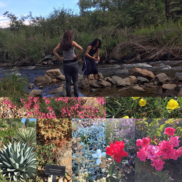 Wordless Wednesday, gardens, bloom, flowers