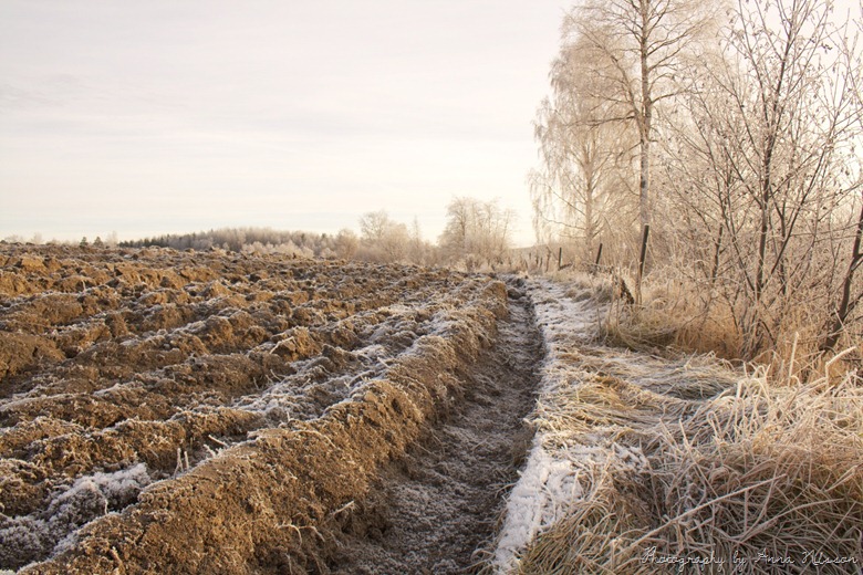 plöjning