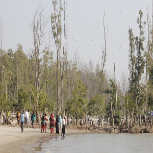  চর কুকরি মুকরি ভোলা   