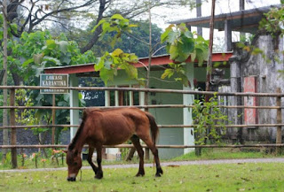 Kebun Binatang Taru Jurug - Tempat Wisata di Solo