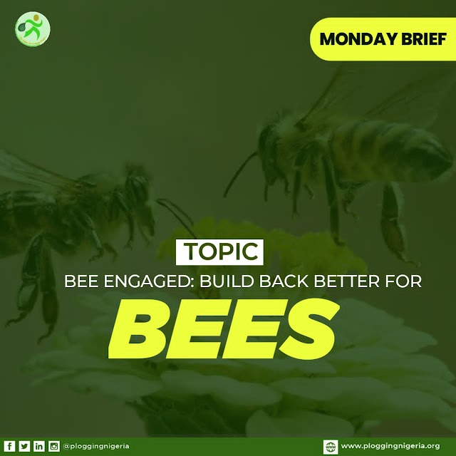 BEE ENGAGED: BUILD BACK BETTER FOR BEES