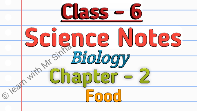 CBSE Science Notes Class 6 – Chapter 2 Food | Bharti Bhawan | NCERT | Components of Food Notes
