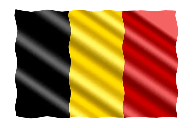 101 Interesting Facts About Belgium: From Chocolate to Comics and EU HQ