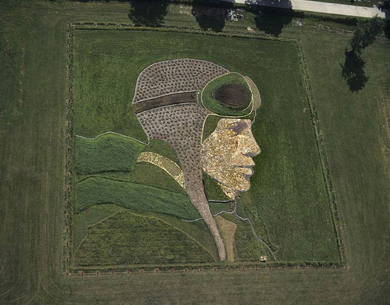 stand-herd-crop-art-3