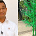 Di Tuding Habiskan Anggaran Miliaran Rupiah Untuk Pohon Palsu, Anies Kesal