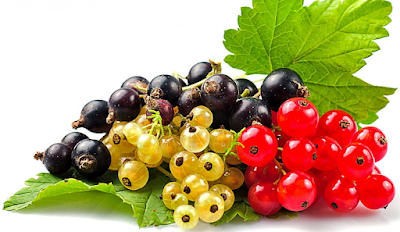 Currant Nutritional Profiles and Unique Benefits