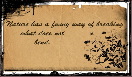 nature has funny jpg cali 5 framed