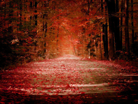 Beautiful Places