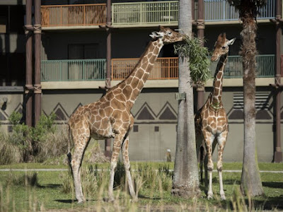 ディズニー 電子マネー決済 171081-ディズニー 電子マネー決済