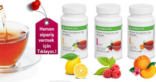 gümüşhacıköy herbalife bayi