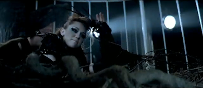 Can't Be Tamed Photo 1
