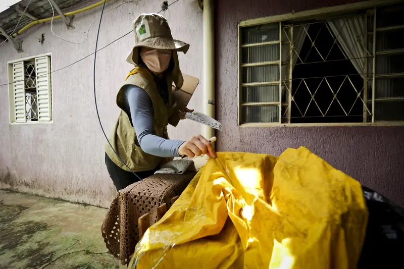 A melhor forma de combate à dengue tem sido a prevenção, por meio da eliminação das condições de reprodução do mosquito | Fotos: Breno Esaki/ Agência Saúde