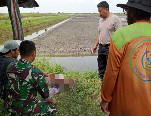 Piket Koramil 06/Wedung Bersama Anggota Polsek, Evakuasi Mayat Tanpa Identitas di Tambak Rombo Tengah Mutihkulon   