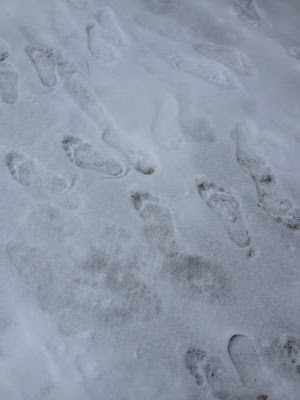 bare foot prints in the snow - cold feet