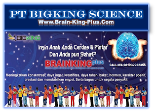http://www.brain-king-plus.com/