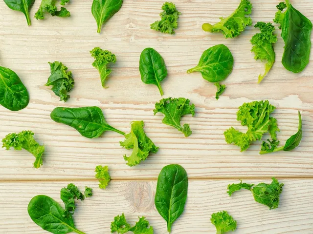 Battle of the Greens: Spinach vs Kale