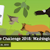 City Nature Challenge 2018