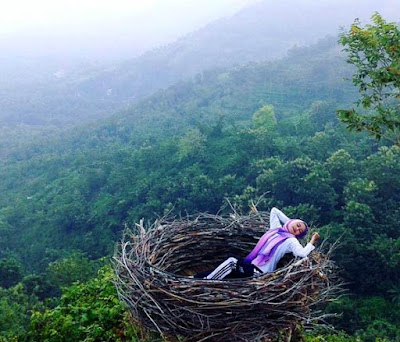 Bukit Jomblo Tulungagung