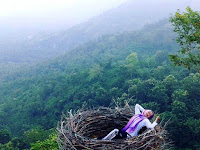 Bukit Jomblo Tulungagung, Spot Baru Yang Unik Dan Instagramable