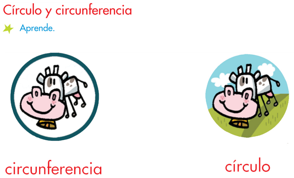 http://www.primerodecarlos.com/SEGUNDO_PRIMARIA/marzo/Unidad1_3/actividades/actividades_una_una/mates/aprende_circulo_circunferencia.swf