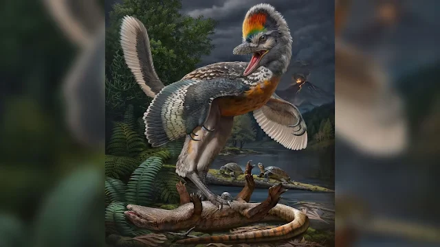 Découverte d'un Dinosaure Aviaire en Chine : Fuijianvenator Prodige, le Chasseur Étrange