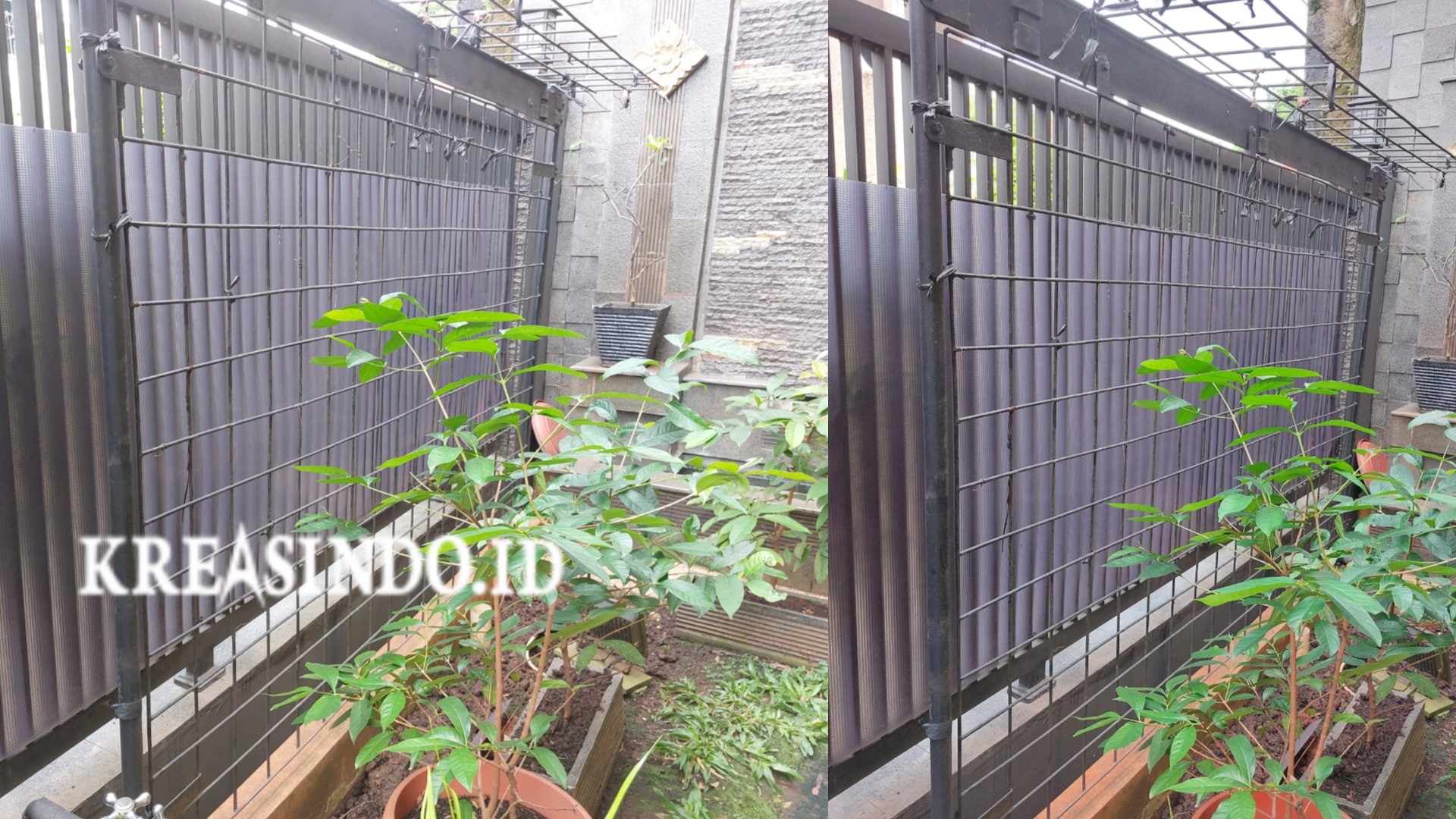 Ingin Memiliki Kebun Vertikal di Rumah? Kreasindo Menghadirkan Jasa Rambatan Besi Vertical Garden Jakarta