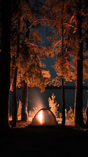 Campfire, Camping, Tent, Night, Nature