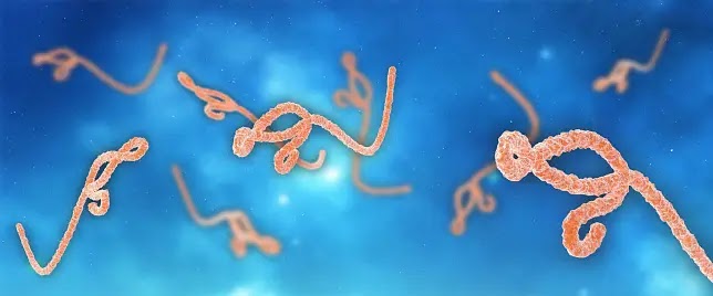 Primeiro teste em humanos da vacina contra o vírus Ebola no Sudão