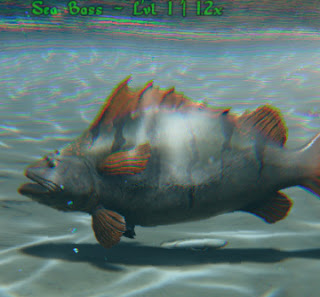 sea bass from playatlas