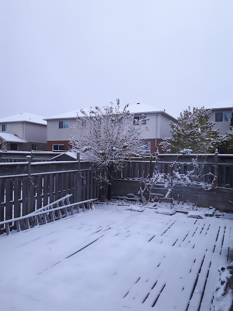 The first real "stay on the ground for a while" snowfall in Orillia - Oct. 28th, 2018.