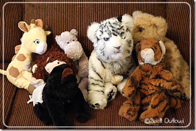 playingzoo