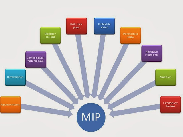 Resultado de imagen para ESTRATEGIAS Y TÃCTICAS DE MANEJO DE PLAGAS