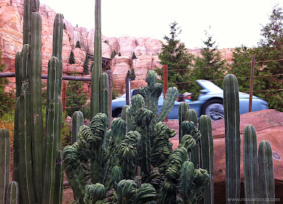 Radiator Springs Racers Cactus Cacti Cars Land