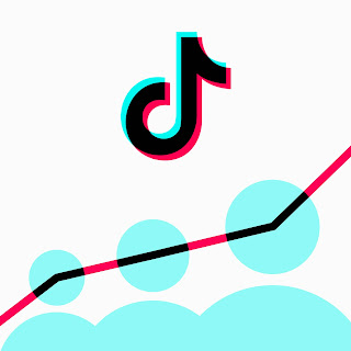 Descifrando las Claves del Éxito de TikTok: El Poder de los Videos en las Redes Sociales