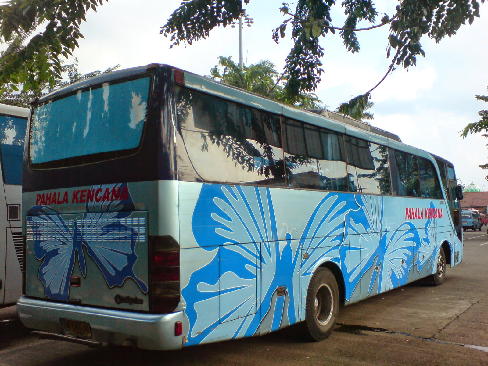 Livery Unyu Lucu Bus Malam AKAP Pariwisata