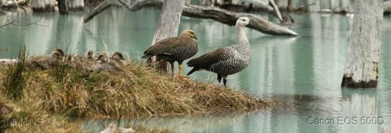 IMG_7135