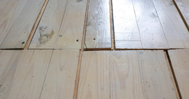 can-bed-bugs-live-on-top-of-wood-floors