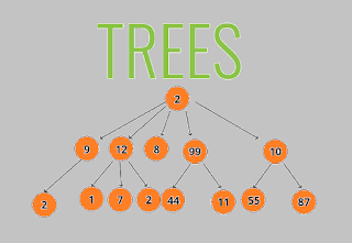 Trees in C, C Language, C basic language