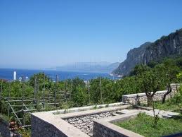 The Gardens of the Marina Grande Slope