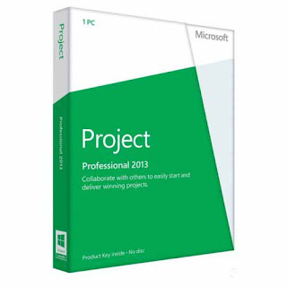 Project Professional 2013