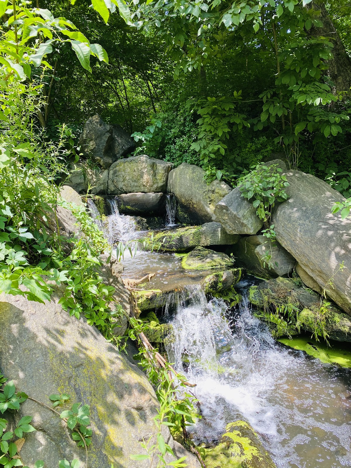 Water Falls at Central Park