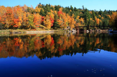 The Best Places to View Fall Colors in Michigan