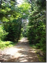 Lower Hadley Trail 2