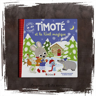 Timoté et le Noel magique livre pour enfant sur Noël, l'hiver, le rêve, les animaux demassonaud et Combes Editions Grund