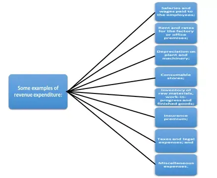 Revenue expenditure