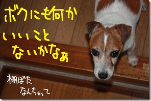 今日カズ１００７０７　１
