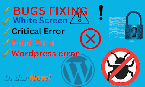Fix any wordpress bug, elementor error, critical error and elementor issue