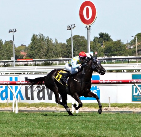race 5_heatherly 2