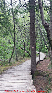 Sendero en el Parque Nacional de los Lagos de Plitvice