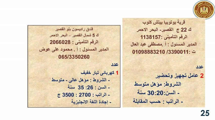 وزارة القوى العاملة تعلن عن  3717 فرصة عمل جديدة في 13 محافظة لمختلف التخصصات